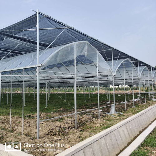 湘桥区智能玻璃温室大棚安装建设工程队